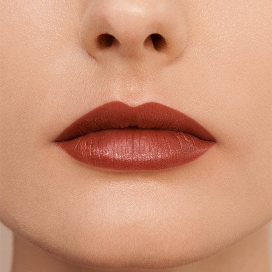Close-up of a person's lips wearing a matte reddish-brown lipstick. The skin is smooth and well-defined.