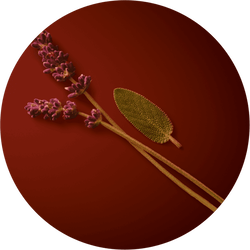 A circular image featuring two lavender flower stems and a textured green leaf on a deep red background.