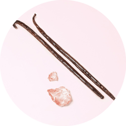 Two vanilla pods and a piece of pink rock salt arranged on a light pink background.