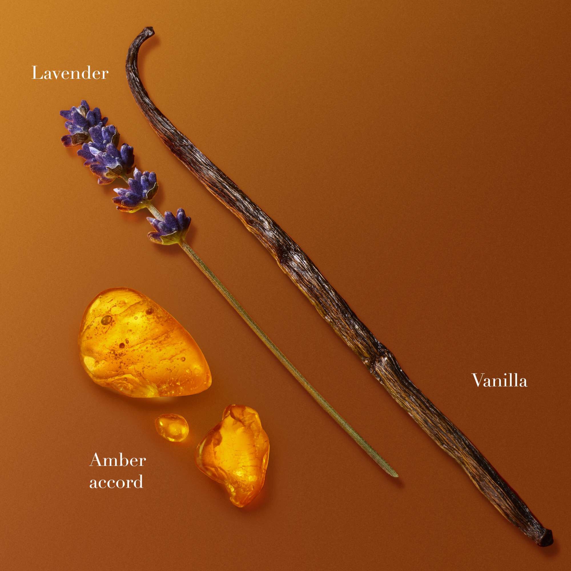 Vanilleschoten, Lavendel und Amberharzstucke auf warmem orangefarbenem Hintergrund angeordnet, die die Duftinhaltsstoffe prasentieren