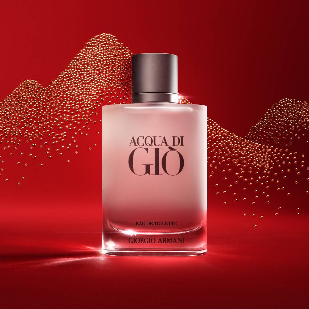 Acqua di Gio Eau de Toilette 100 ml Weihnachtsgeschenkset Armani beauty
